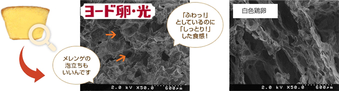 ヨード卵の生地は、良く膨らみ、球状の気泡が連続し、細かな穴が整列し、壁面の亀裂が少ない。また、官能検査でも良好な評価を得ました。