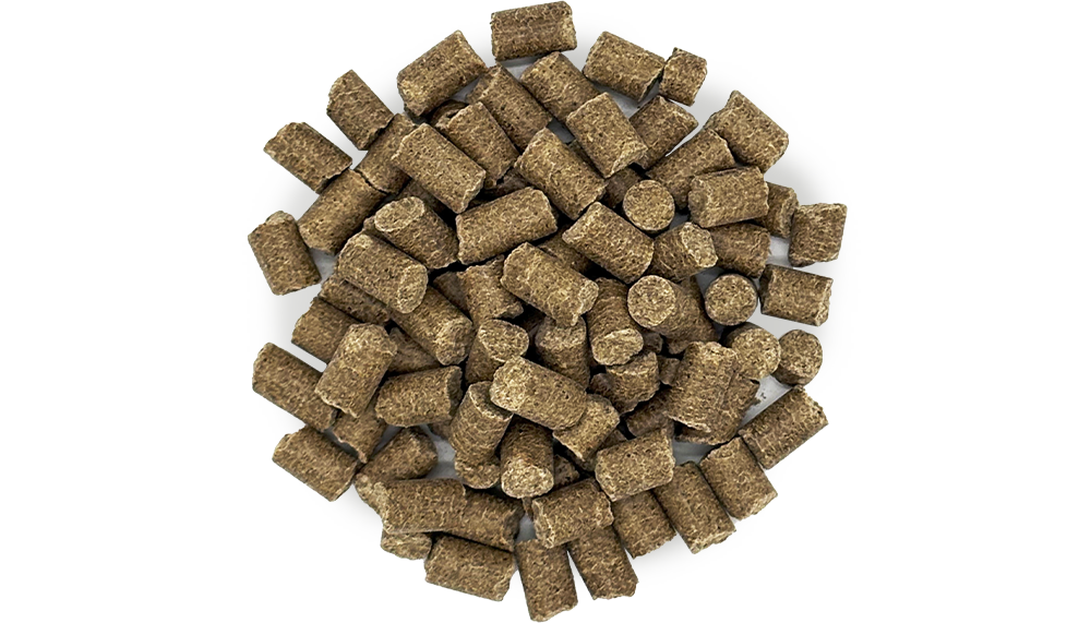 ペレット（HP） の画像