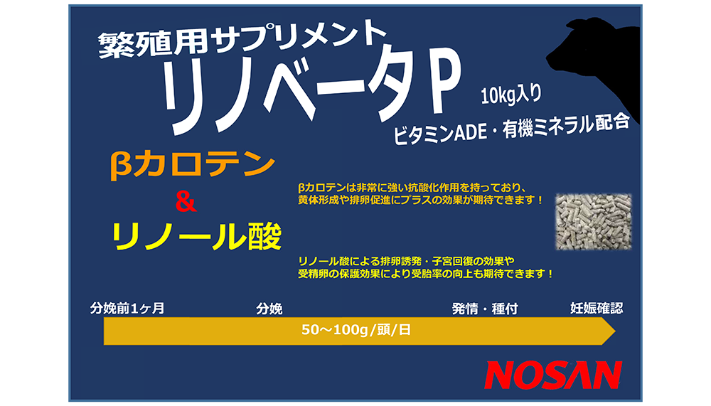 リノベータPの画像