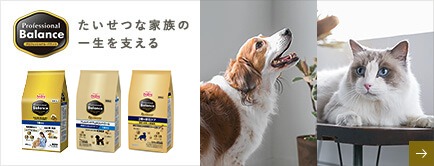 プロフェッショナル・バランス の画像