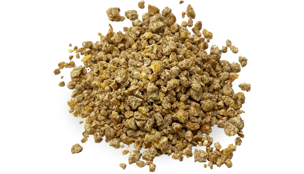 スターターの画像