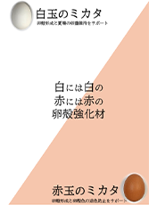 カタログの画像