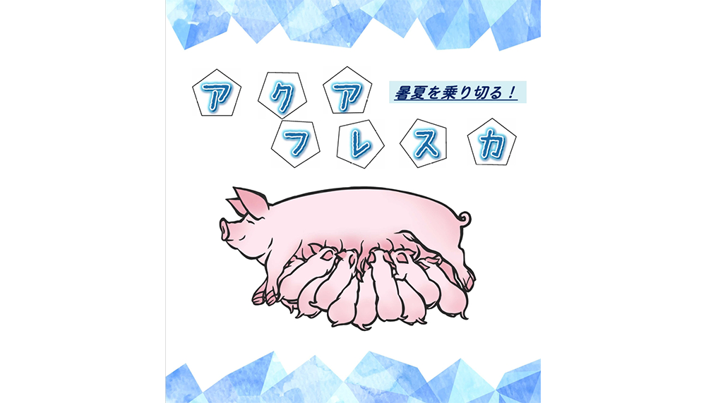 アクアフレスカの画像