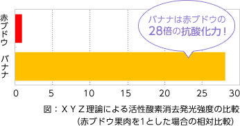 図：XYZ理論による活性酸素消去発光強度の比較（赤ブドウ果肉を1とした場合の相対比較）バナナは赤ブドウの28倍の抗酸化力！