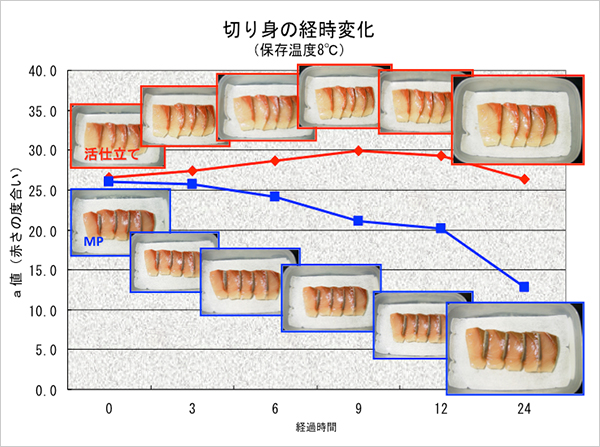 切り身の経時変化（保存温度8℃）